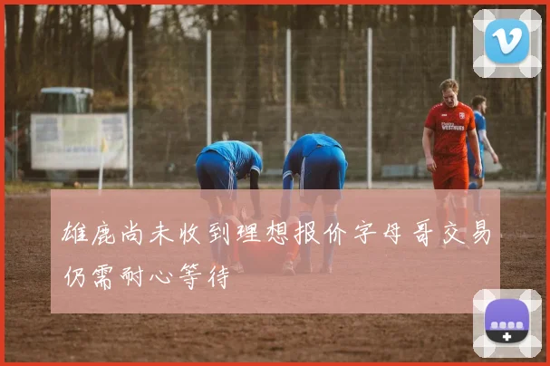 雄鹿尚未收到理想报价字母哥交易仍需耐心等待